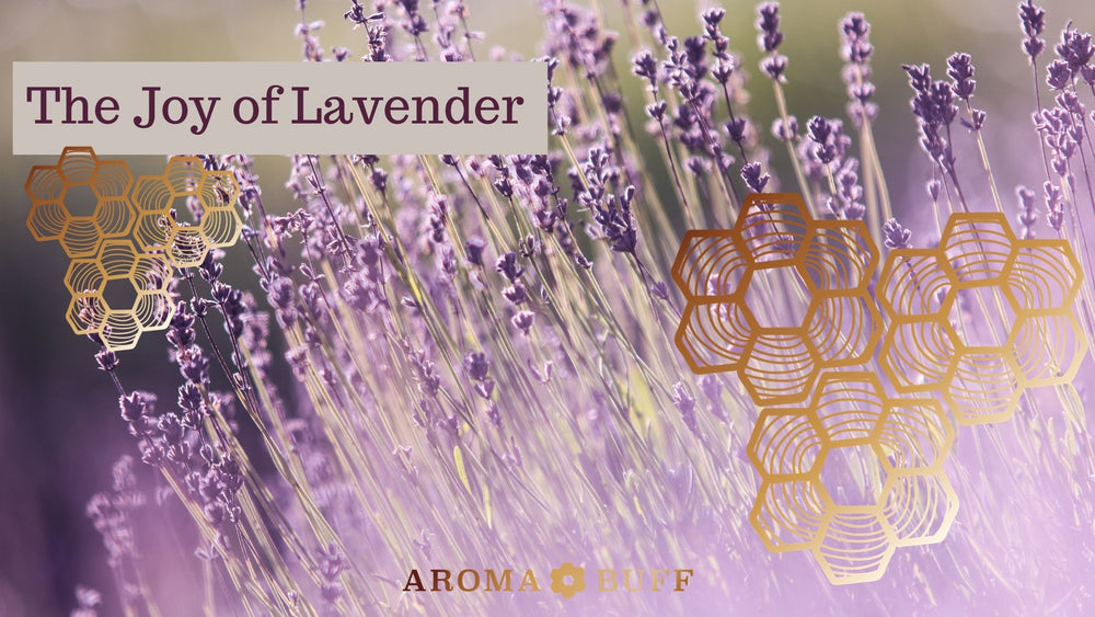 The Joy of Lavender