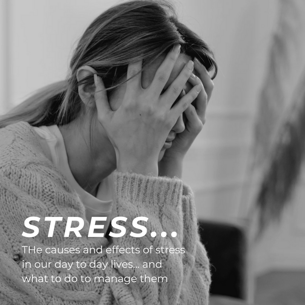 The Effects of Stress in Our Day-to-Day Lives